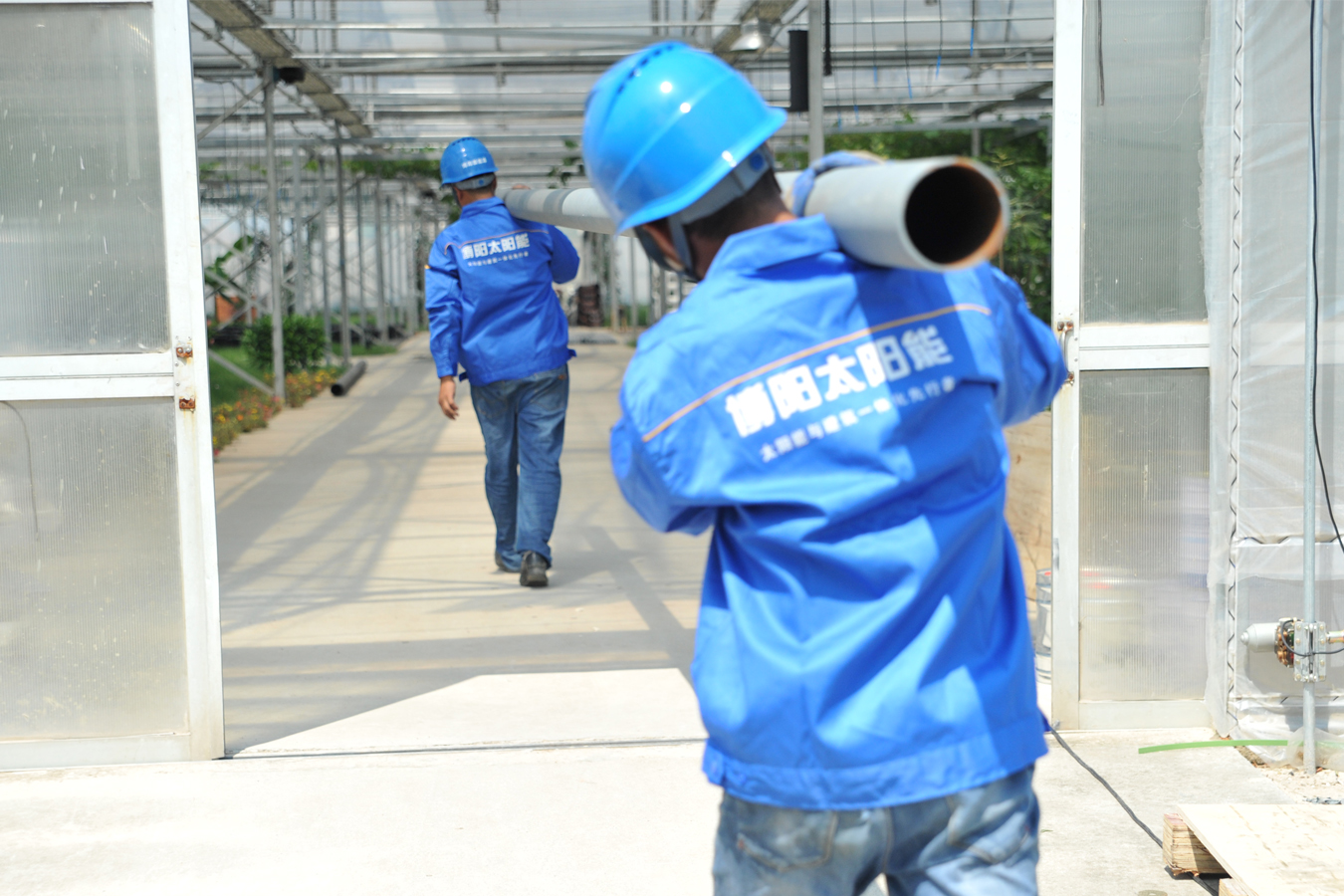 上海农林职业技术学院多能互补能源系统交付使用